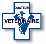 Image de Cabinet Vétérinaire MyVet